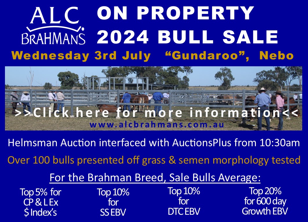 MDM Bull Sale Notice with Sale Bulls Statsppp