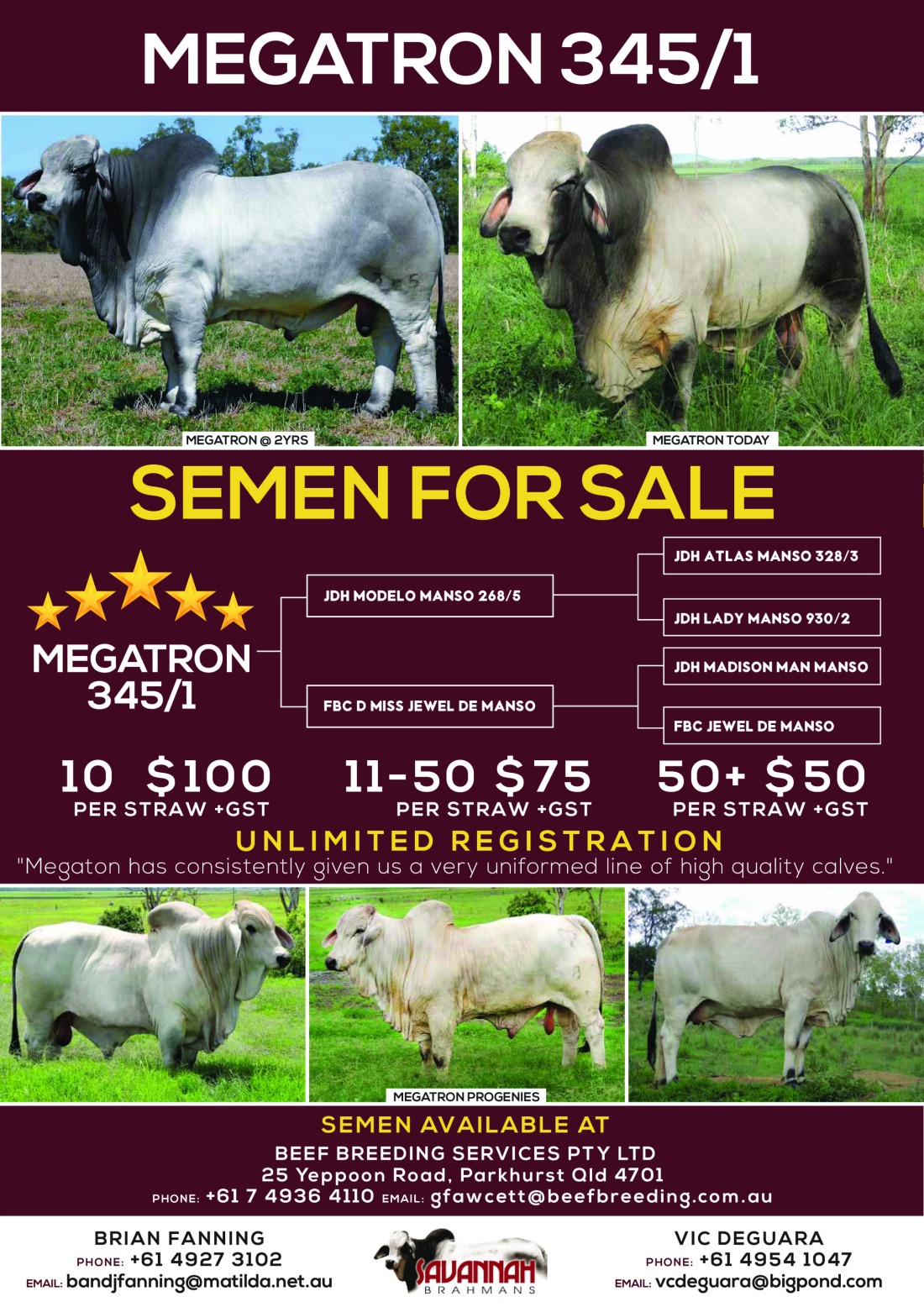 Megatron_Semen_for_Sale_Flyer-01_ca9973a3a5416f863f4ff72d4d9a8ada.jpg