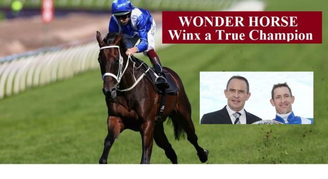 Winx a True Champion