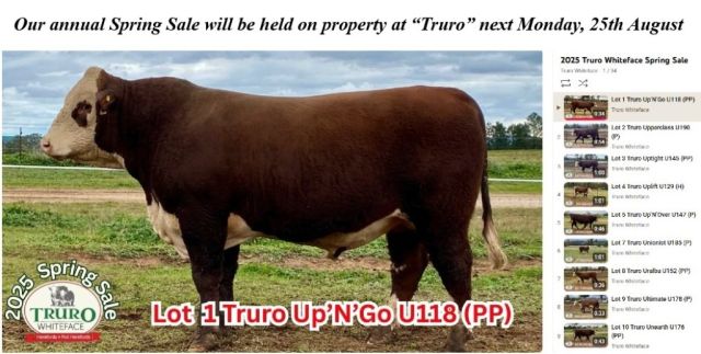 Truro Hereford Spring Sale