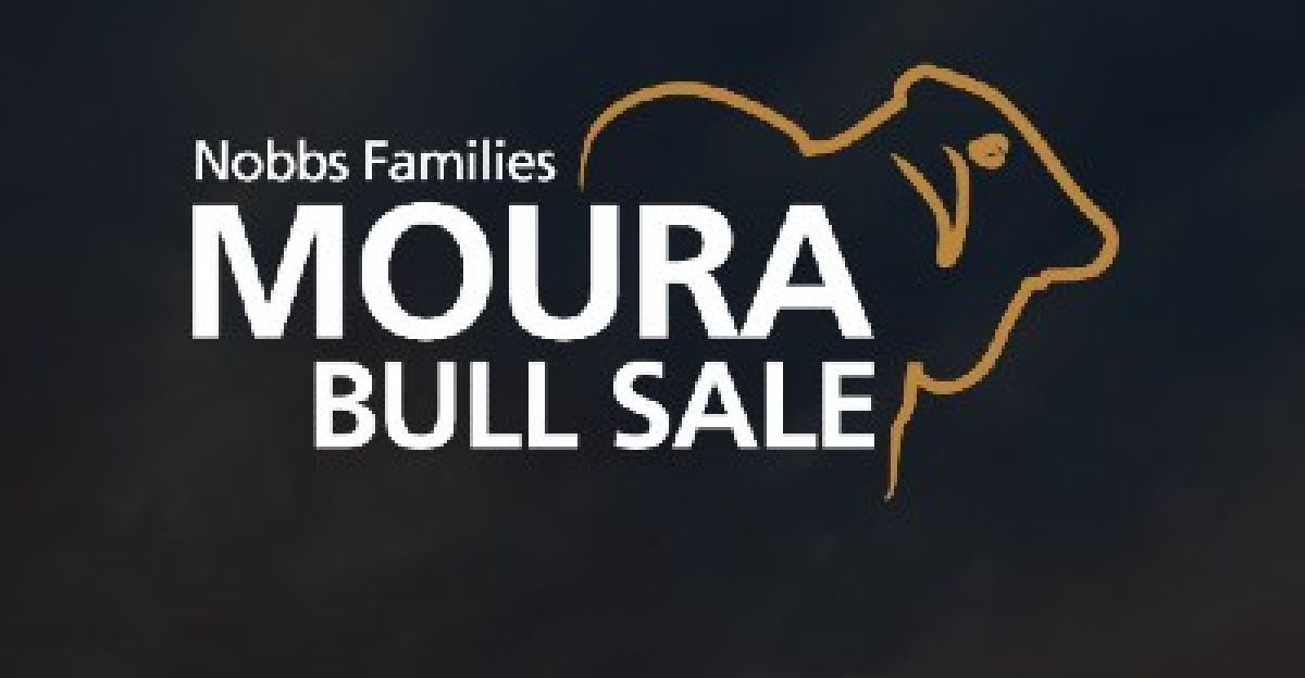 MOURA_SALE_2025.jpg