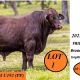 Go to Yulgilbar  2025 Production Sale