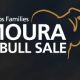 MOURA BULL SALE 2025