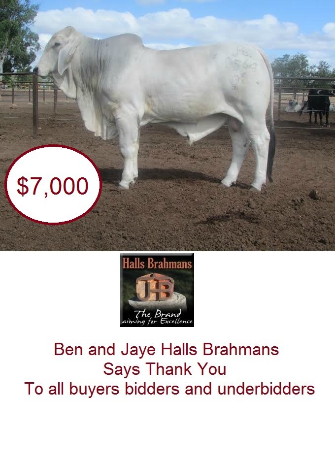 Big Country Sale Wrap Up