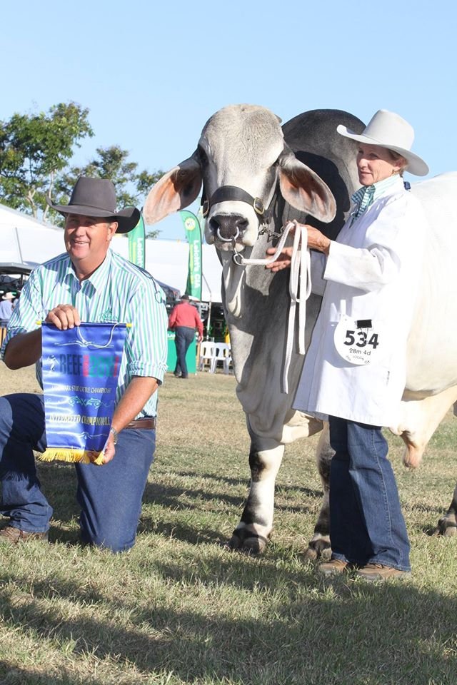 Wrap up Beef 2015