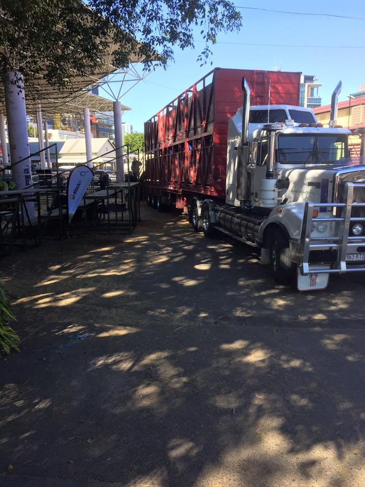 Wrap up at the EKKA
