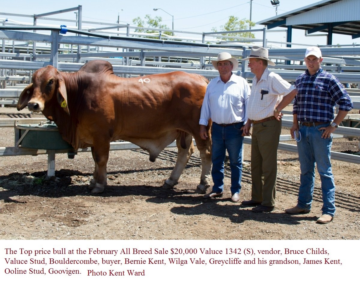 February All breeds Wrap Up