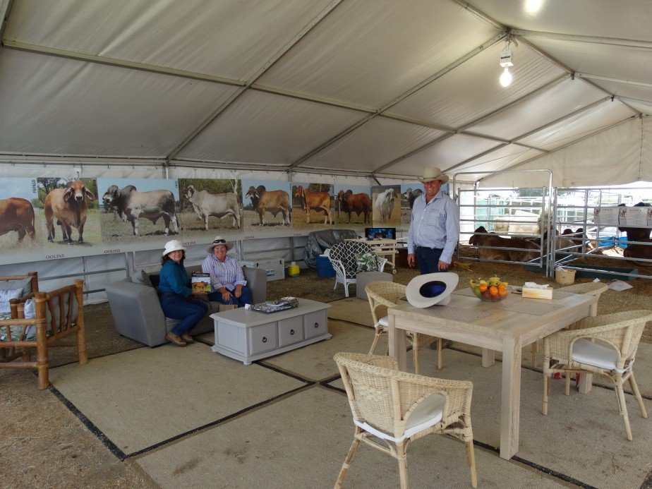 World Brahman Congress Social Photos  
