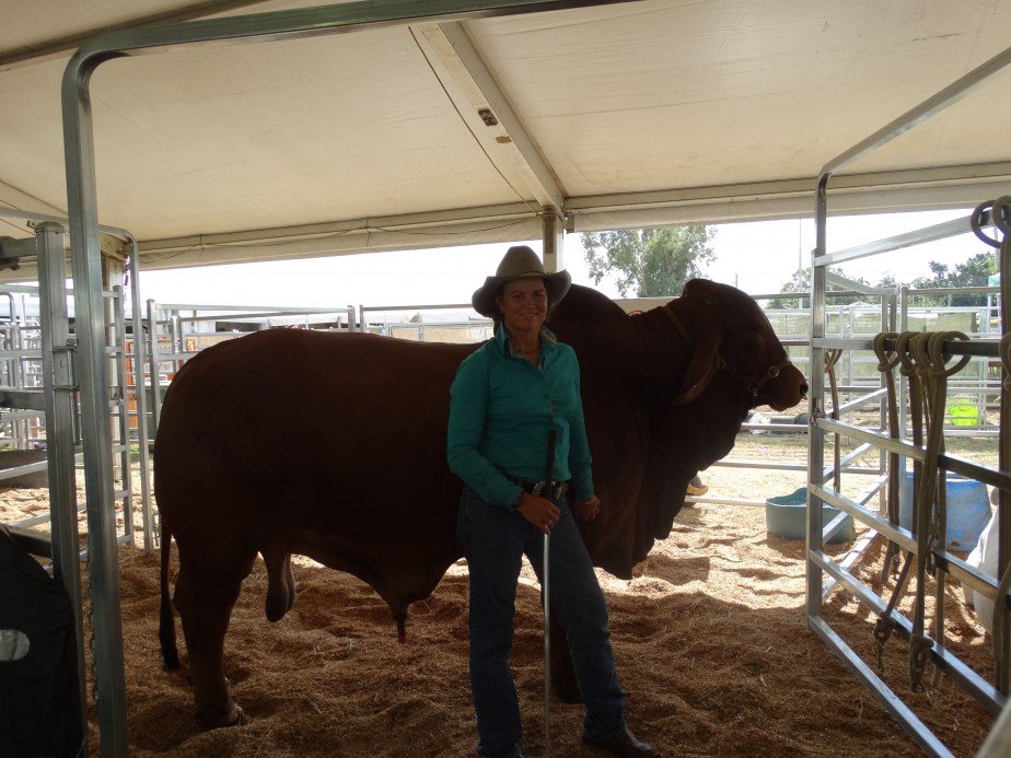 World Brahman Congress Social Photos  