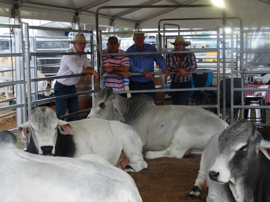 World Brahman Congress Social Photos  