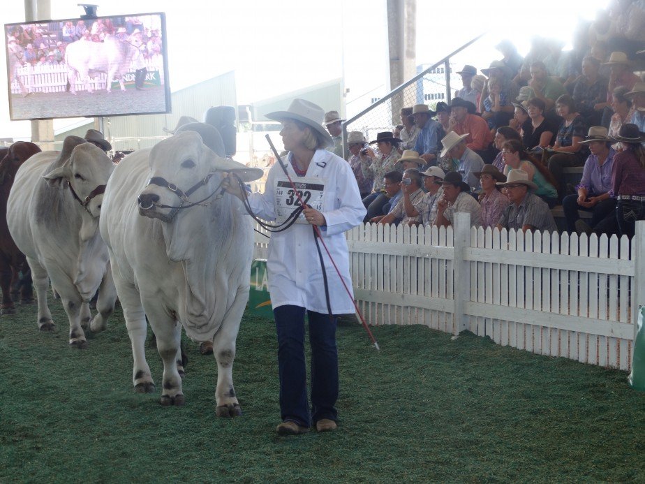 World Brahman Congress Social Photos  