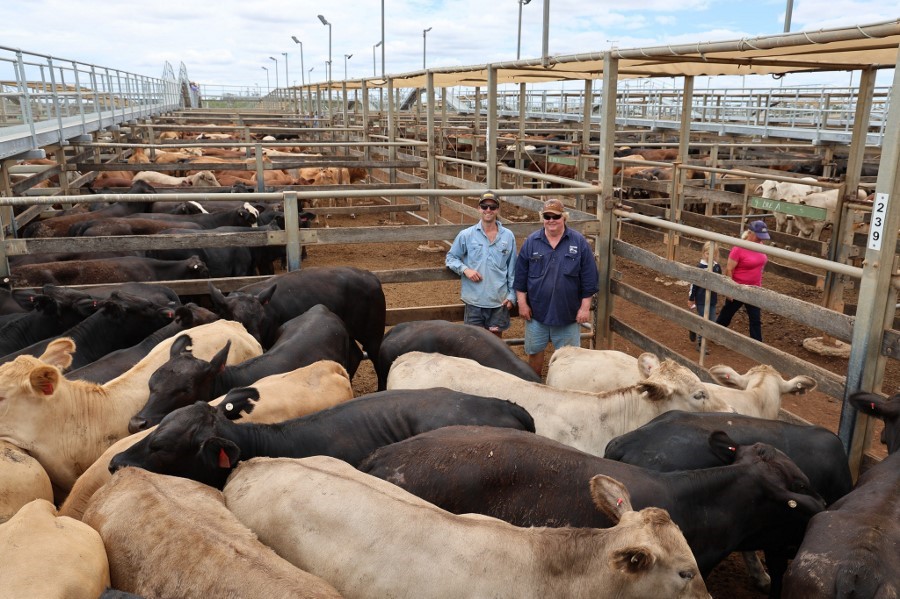 615882329 853912574283360 2894175759193663896 n