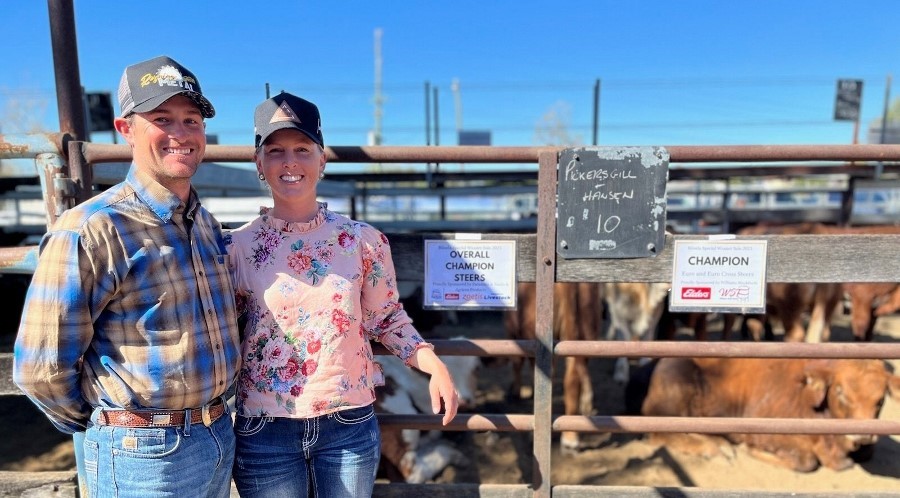 Kellie Pickersgill with Husband Cody Hansen Champion Pen Steers Champion Pen Euro and Euro infused Steers