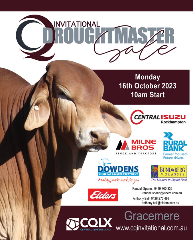 QCL CQ Invitational Droughtmaster Sale 2023 starter ad face book