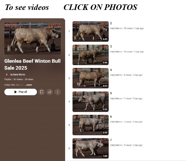 Screenshot videos