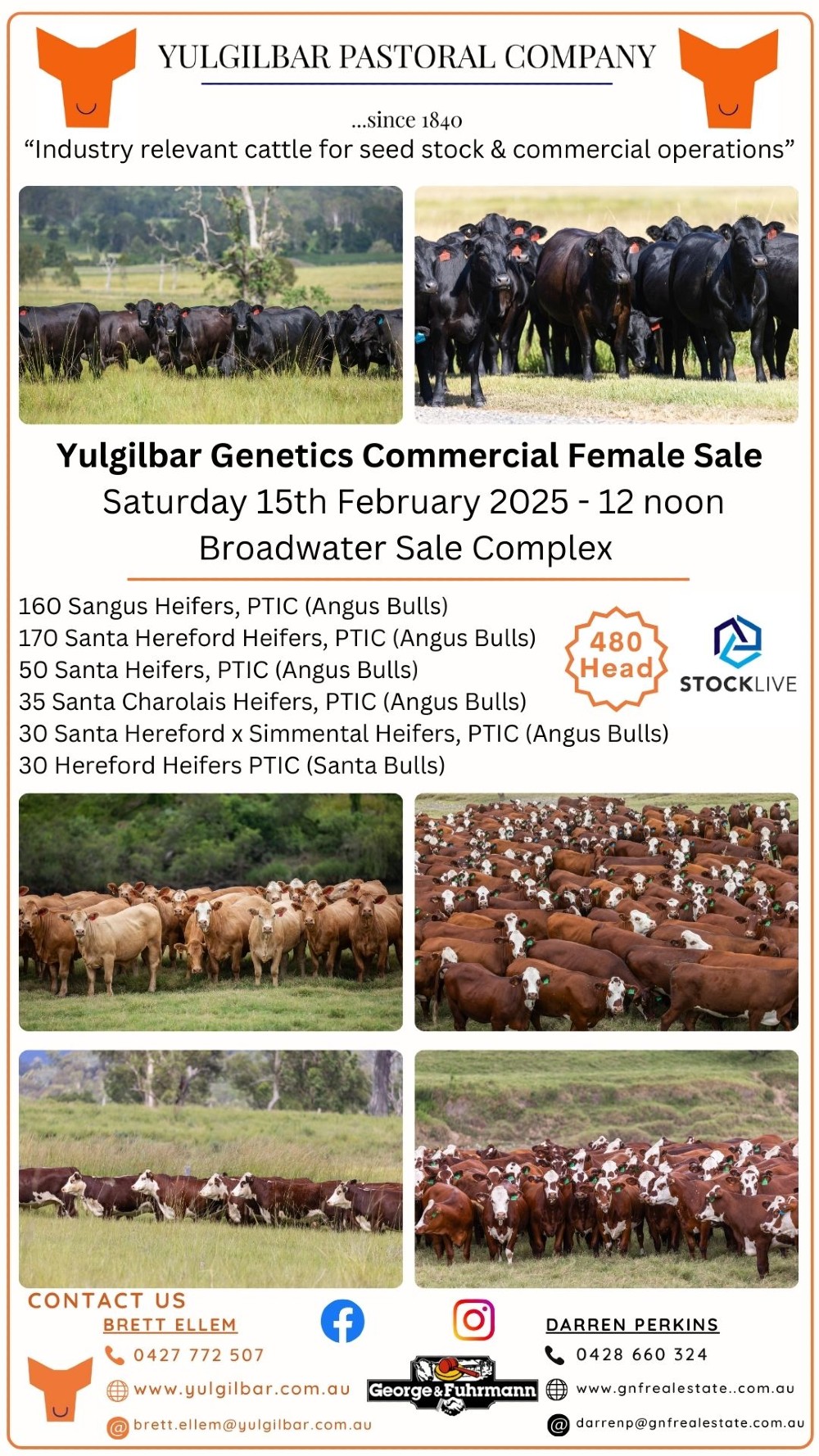 UpdatedYuilgilbar Female Sale Flyer 2025xxxxxx