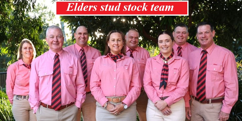 ELDERS STRIP MAIN