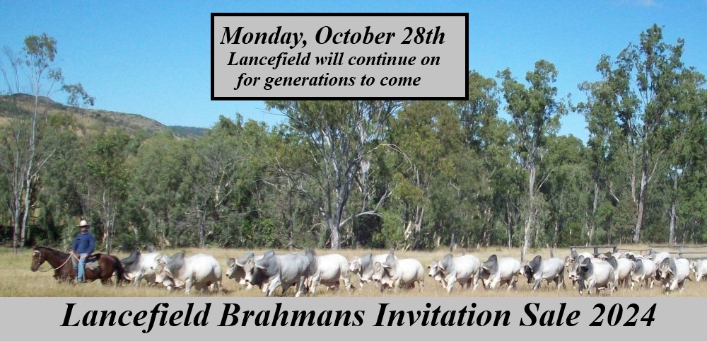 LANCEFIELD 2024 SALE