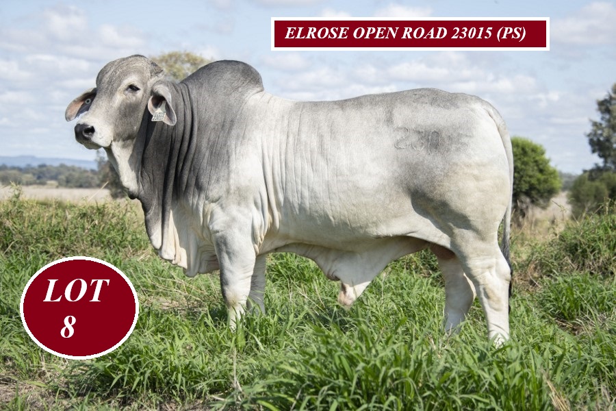 Lot 8 Elrose Open Road 23015 PS