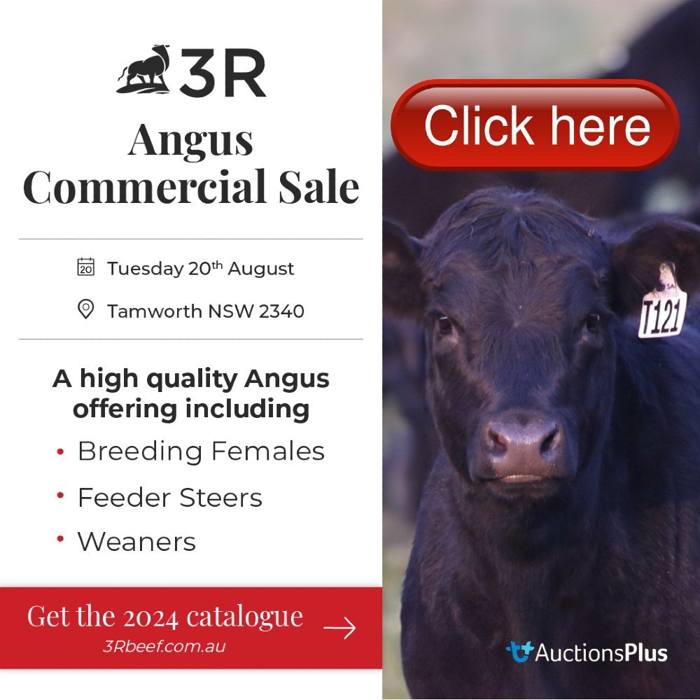 3R Beef Commercial Sale JIMbook Tile July 2024