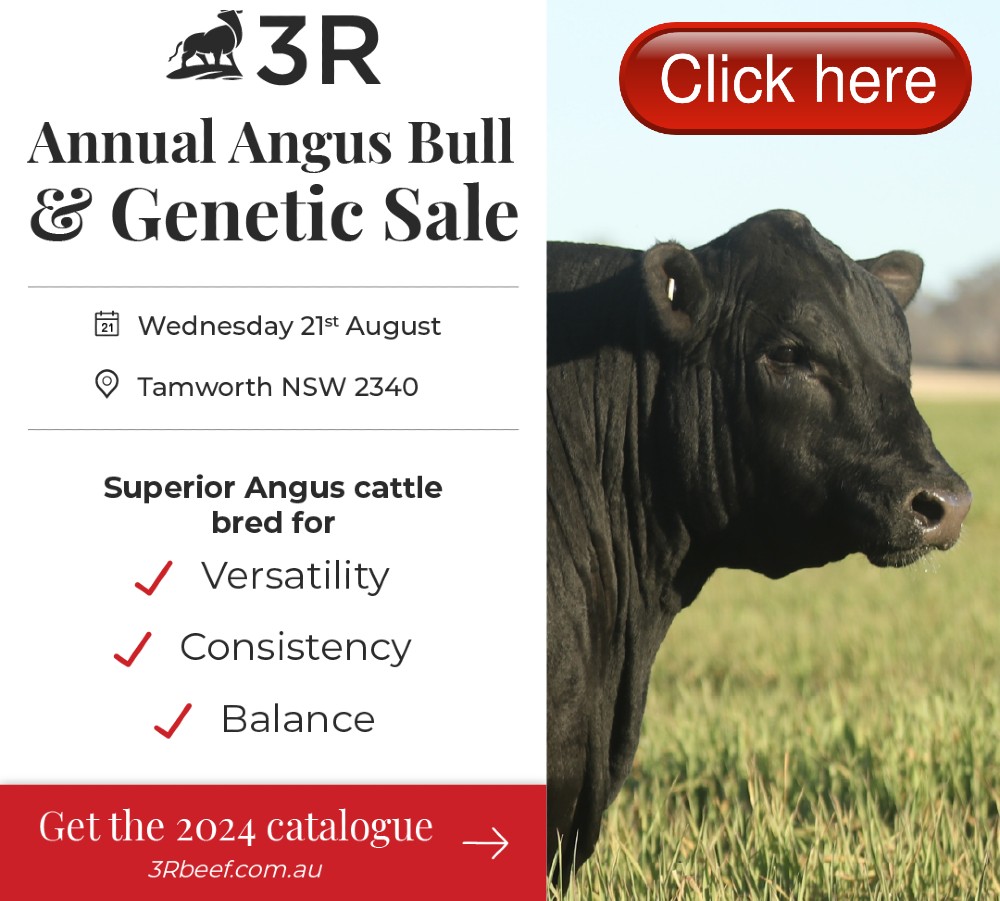 3R Beef Genetics Sale Jim Pola Facebook Tile July 2024