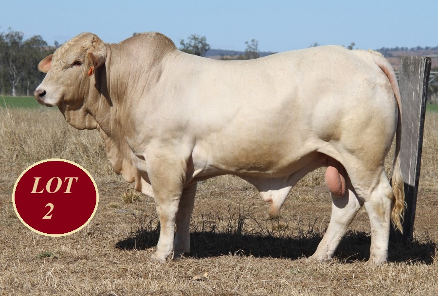 Lot 2 Whitaker Mr 1284