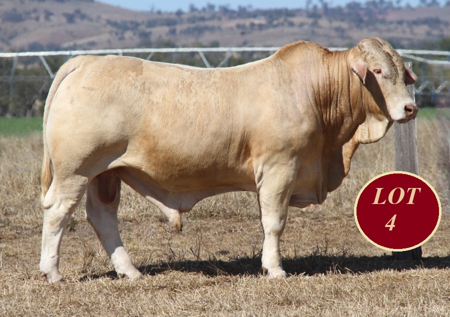 Lot 4 Whitaker Mr 1386