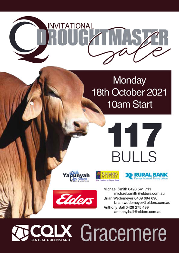 COVER 2021 updated 117 bulls