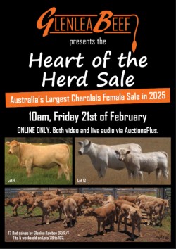 FEMALE SALE ROD FEB 