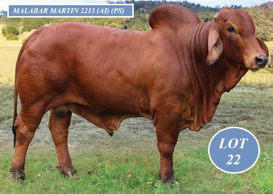 LOT 22 900px