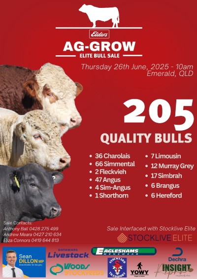 AgbS POSTER 2025 JIM catalogue 