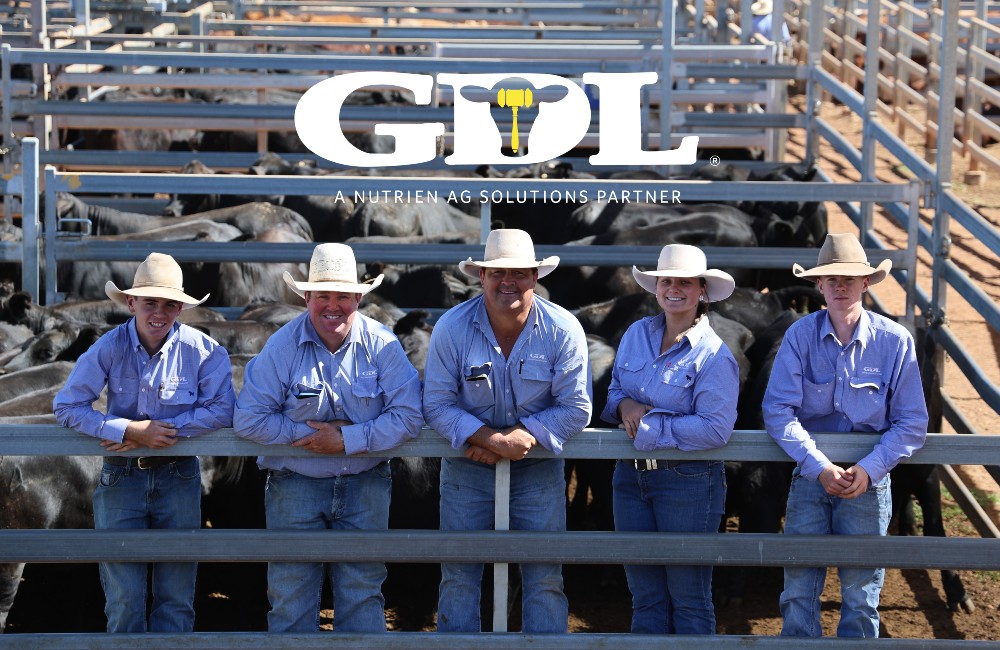 GDL Team Photo ananan