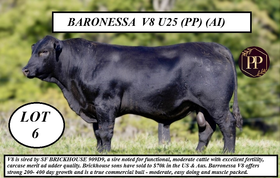 LOT 6 BARRONESSA V8 U25 PPAI