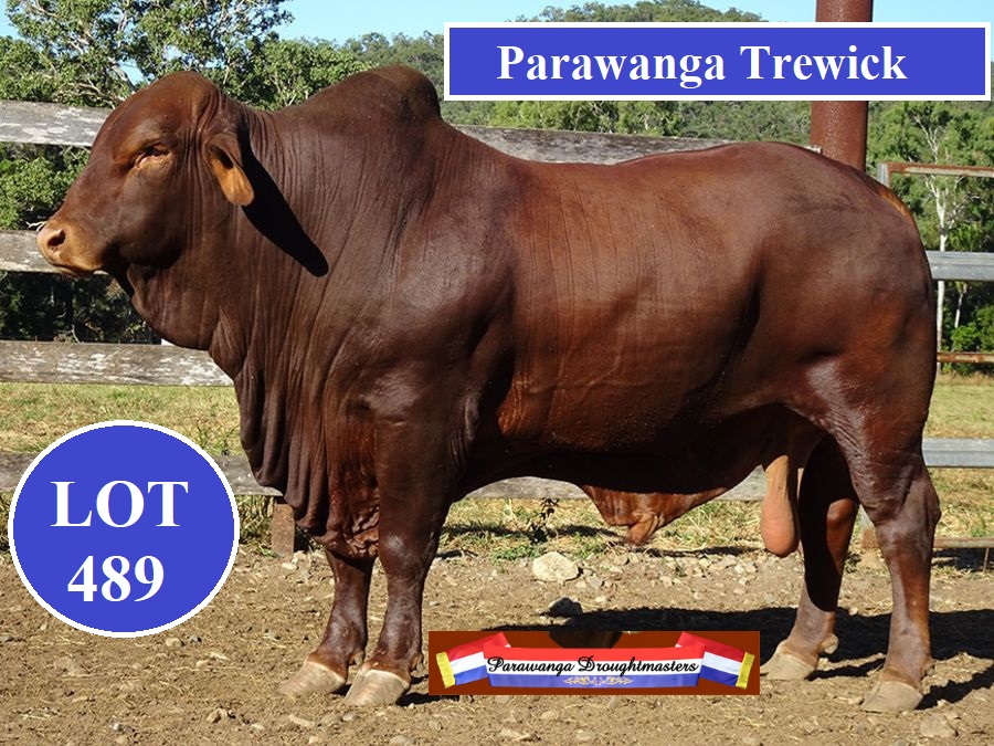 Lot 489 Parawanga Trewick
