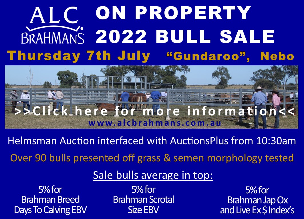 MDM Bull Sale Notice with Sale Bulls Stats