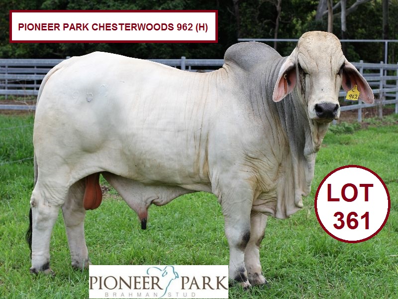 Pioneer Park Chesterwood 962