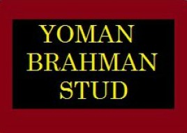 yoman s
