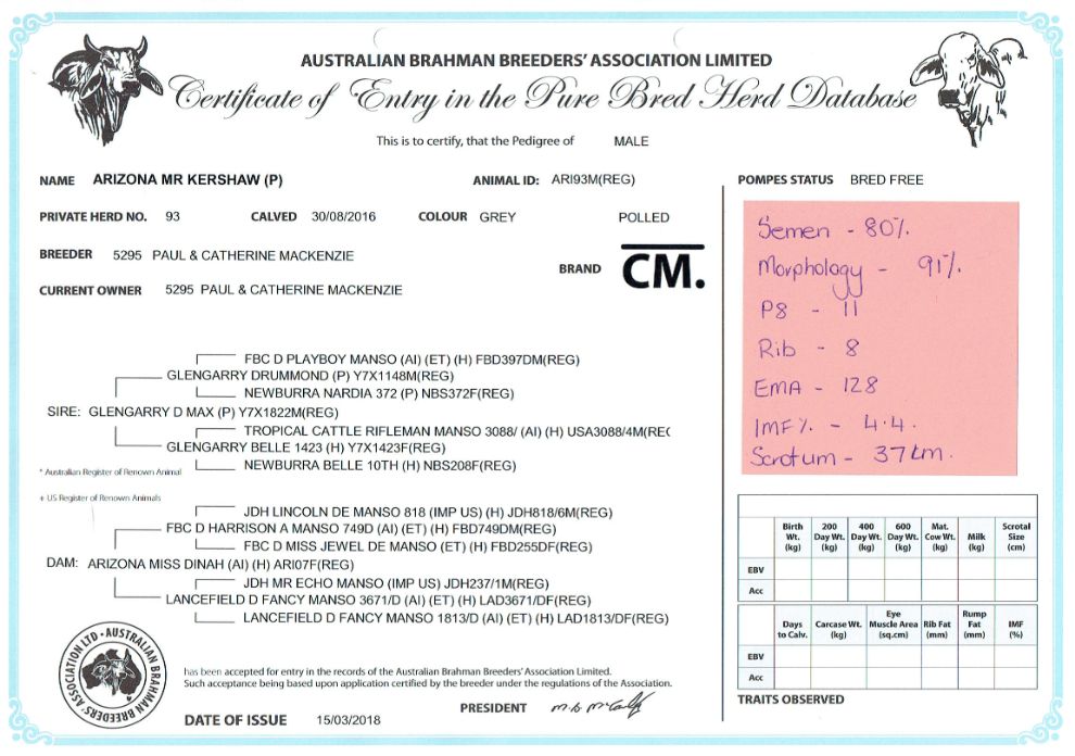 Arizona Mr Kershaws Information 1