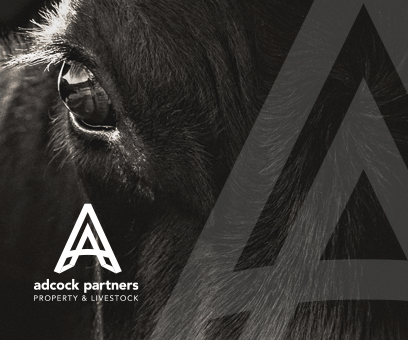 Andrew Property sales 