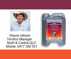 Boehringer Ingelheim