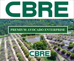 Cbre prop 