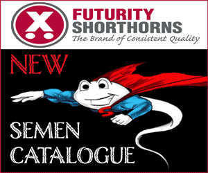 FUTURITY SHORTHORNS 