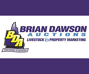 Brian Dawson