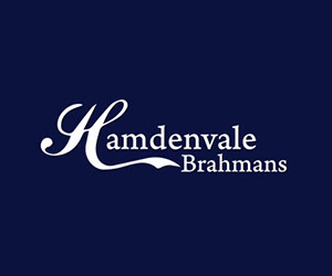 Hamdenvale Brahmans