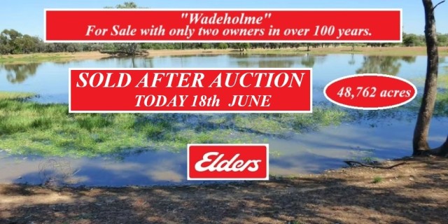 Wadeholme