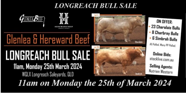 Glenlea and Hereward Beef Sale.