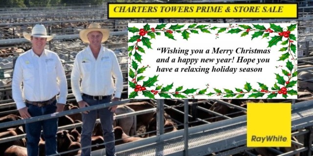 Charters Towers Report