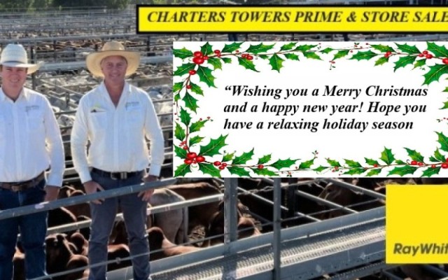 Charters Towers Report