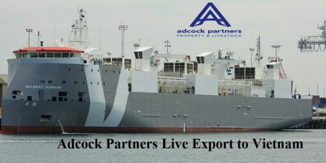 Adcock Partners Live Export to Vietnam