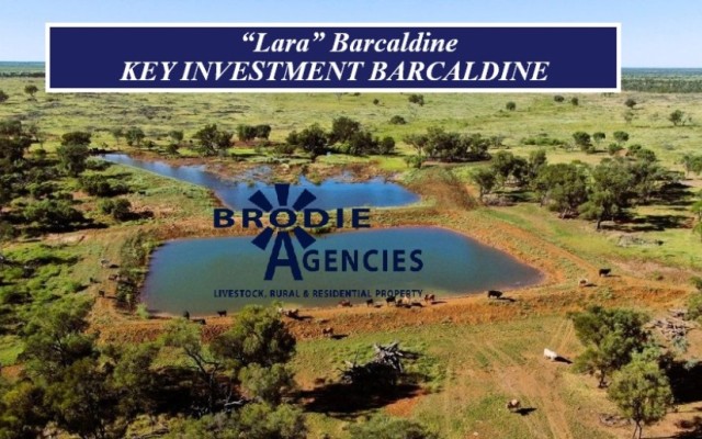 “Lara” Barcaldine 